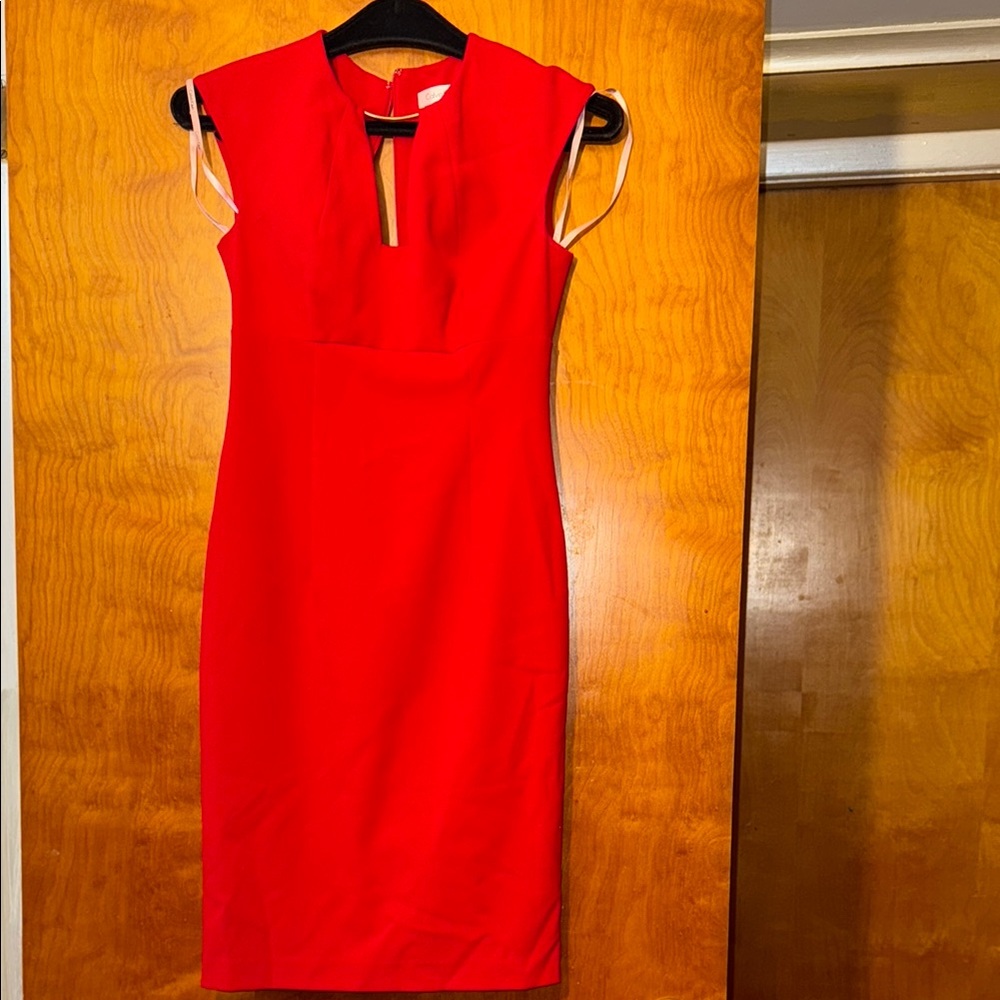 Calvin Klein Red Sleeveless Sheath Dress